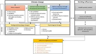 Integrating Maternal and Child Health Into Climate Change: A Holistic Approach